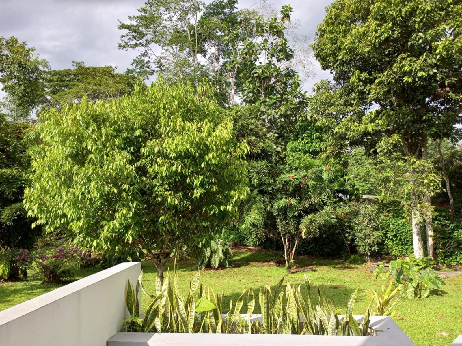 Terra Luna Lodge เตนา ภายนอก รูปภาพ