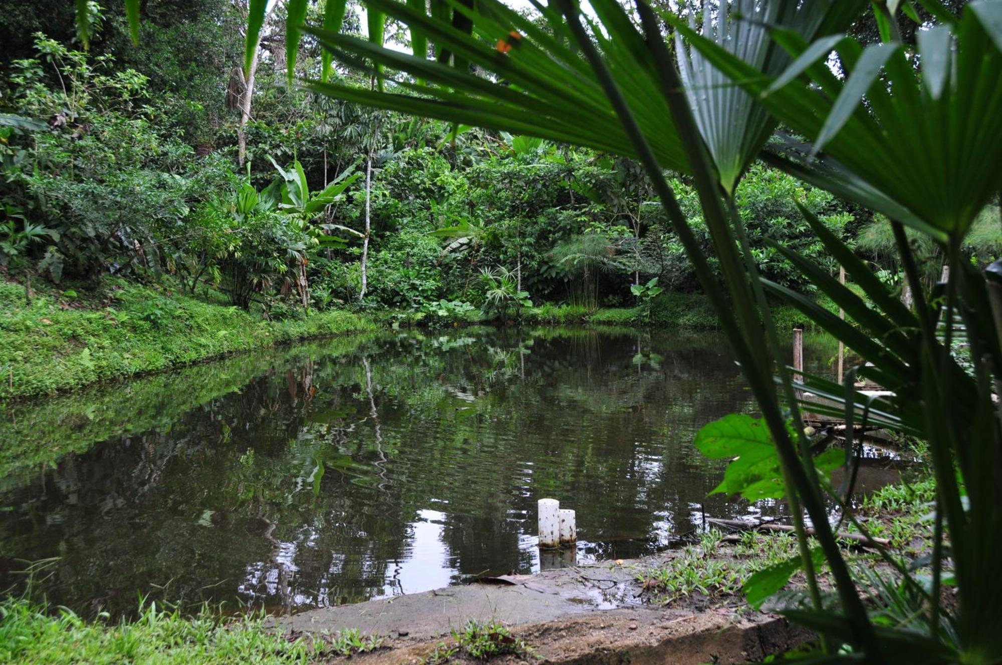 Terra Luna Lodge เตนา ภายนอก รูปภาพ